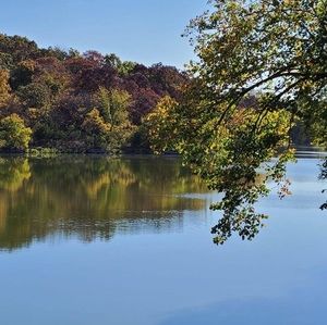 Meet your Posher, Sylvia